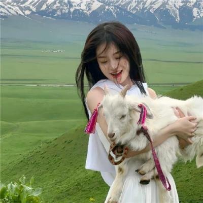 圣诞多美好